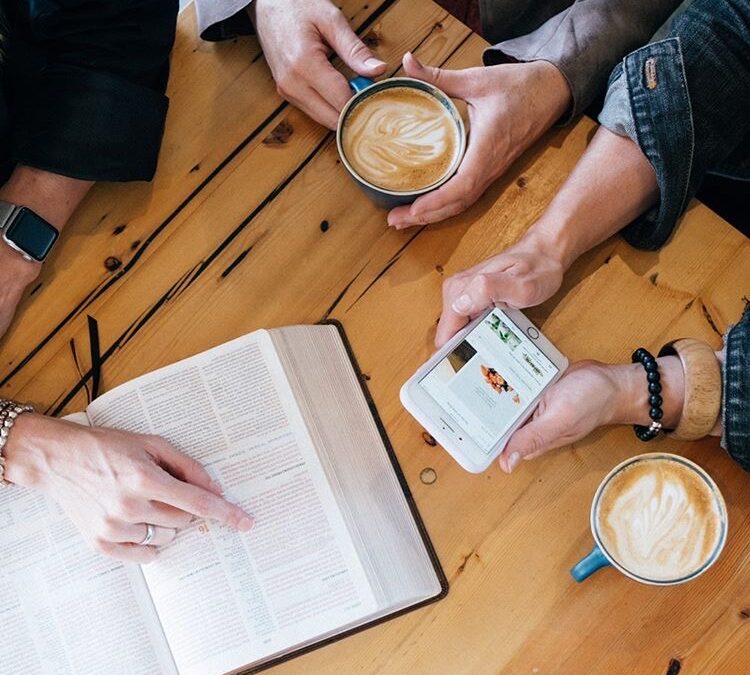Summer of Resources: Study Bibles