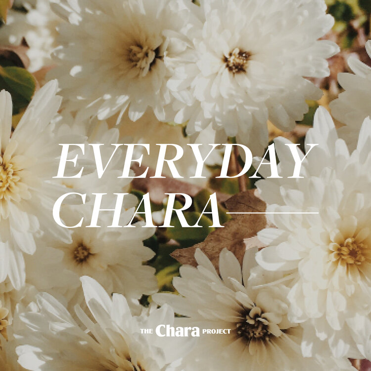 Everyday Chara Bible Study with The Chara Project