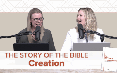 NEW PODCAST | The Story of the Bible: Creation
