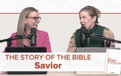 NEW PODCAST | The Story of the Bible: Savior