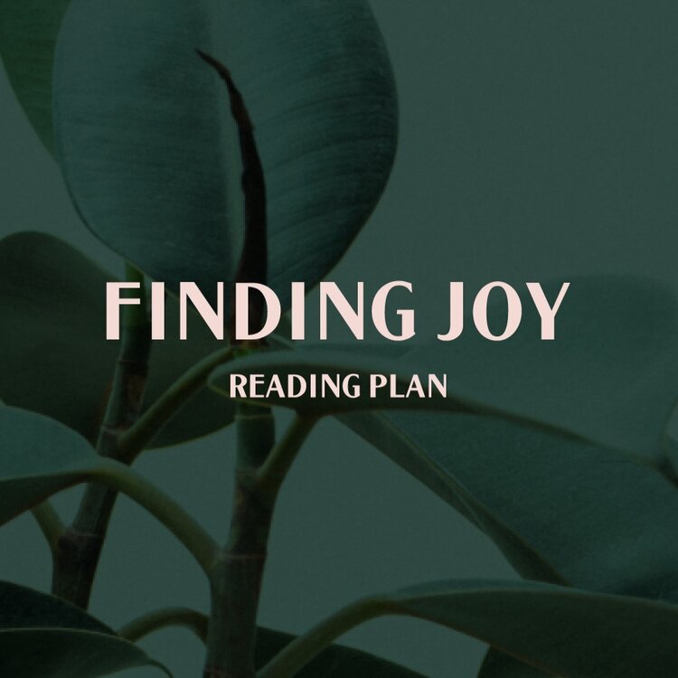 Heart of Wisdom at The Chara Project