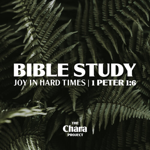 Finding Joy in Hard Times Bible Study cover - How to Study the Bible
