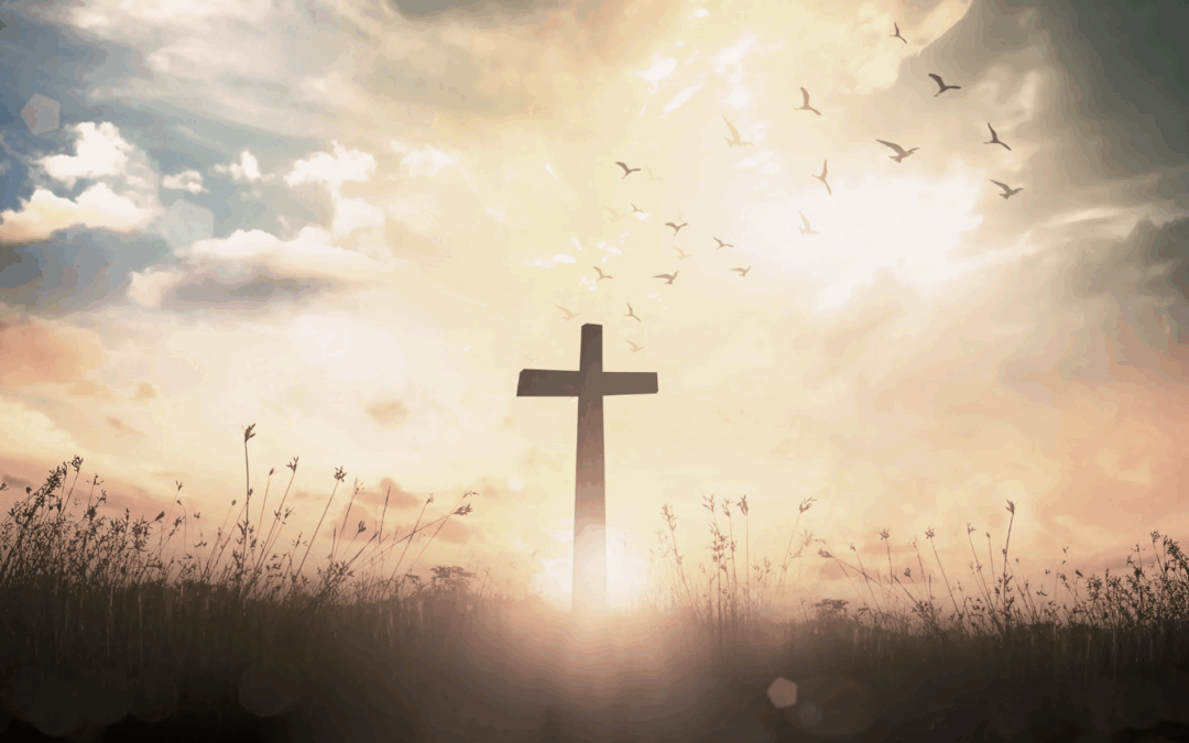 How to Study the Gospels in the Bible