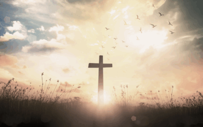 How to Study the Gospels in the Bible