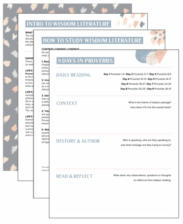 The Chara Project Heart of Wisdom Download