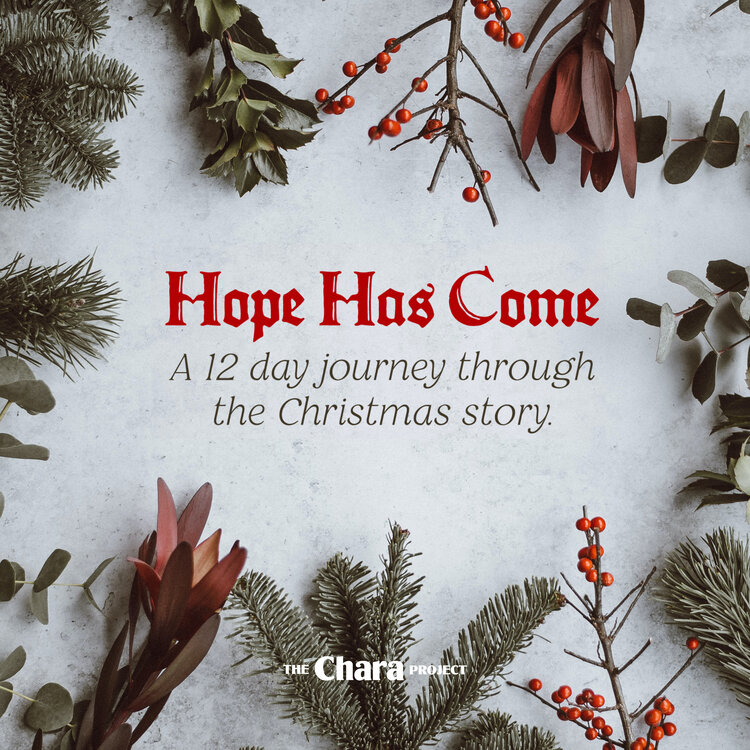 Hope Has Come Devotional Verse Cards