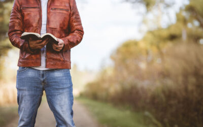 Summer of Resources: Bible Translations
