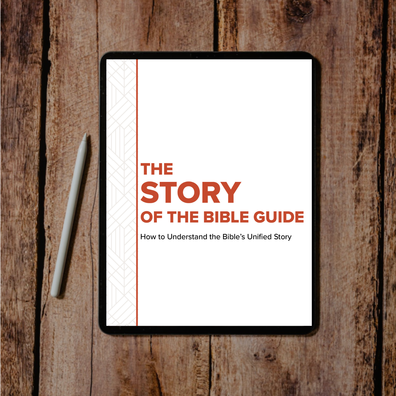 The Chara Project Shop The Story of the Bible Guide