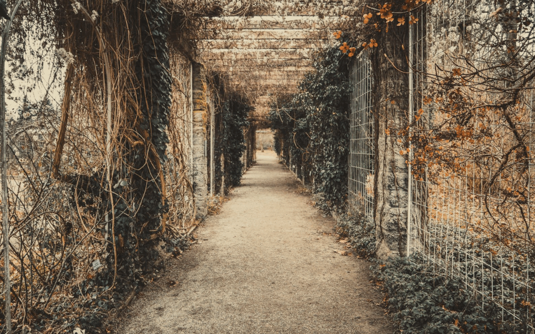 How to Study the Narrative of the Bible