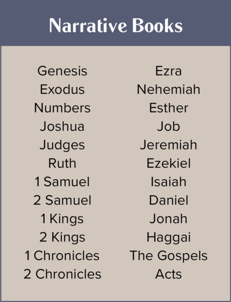 Narrative Books in Literary Styles Bible Study