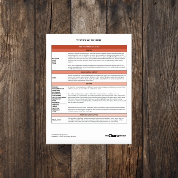 Overview of the Bible printable