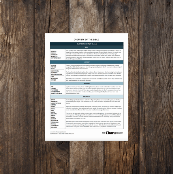 Overview of the Bible Download and Printable