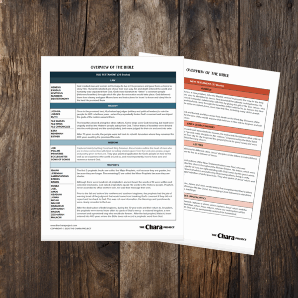 Overview of the Bible Printable from The Chara Project