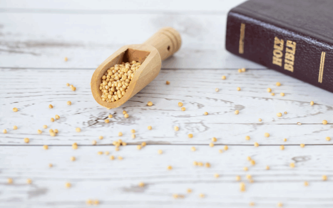 How to Study Parables in the Bible