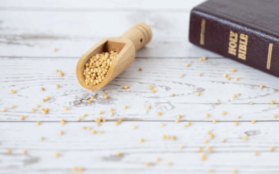 How to Study Parables in the Bible