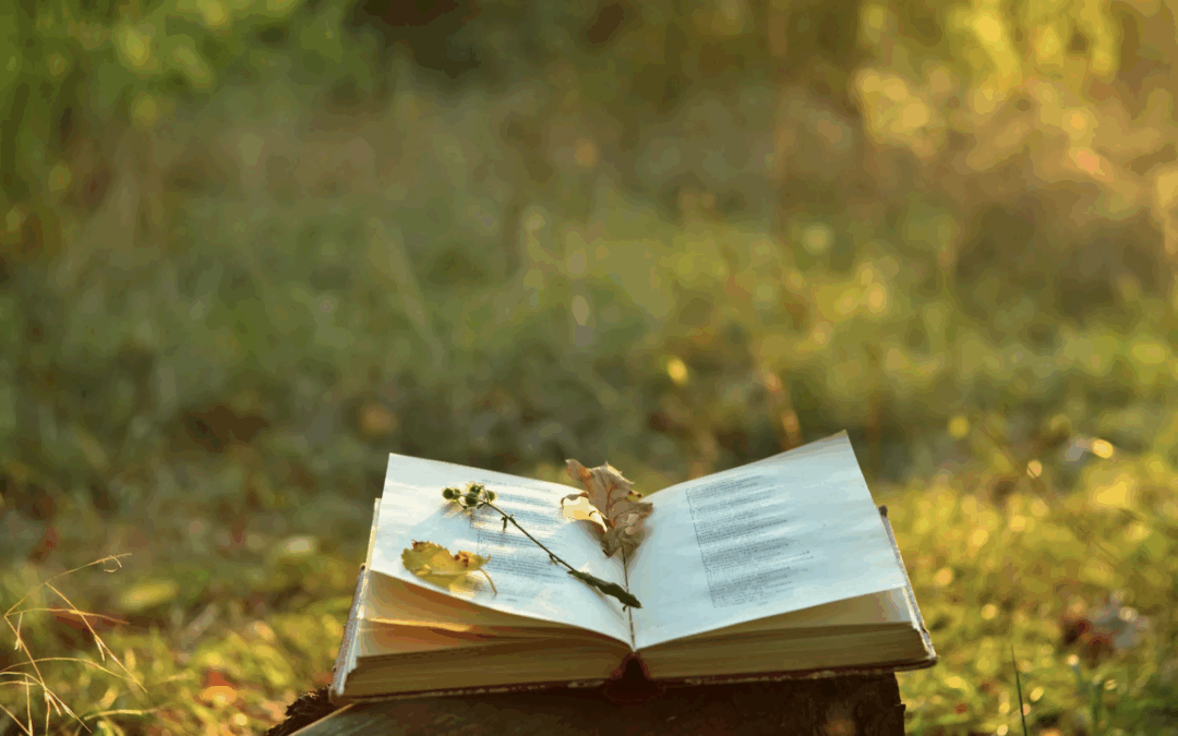 How to Study the Poetry of the Bible
