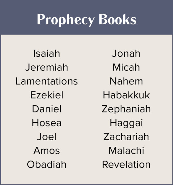 Prophecy Books In Literary Styles Bible Study