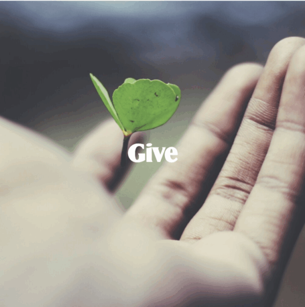 How to Give to The Chara Project