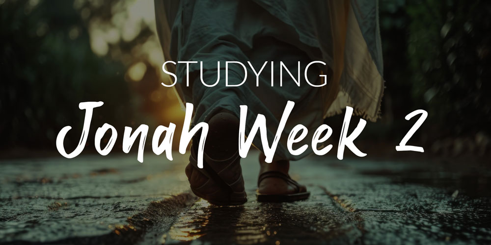 Studying Jonah Week 2 Bible Study