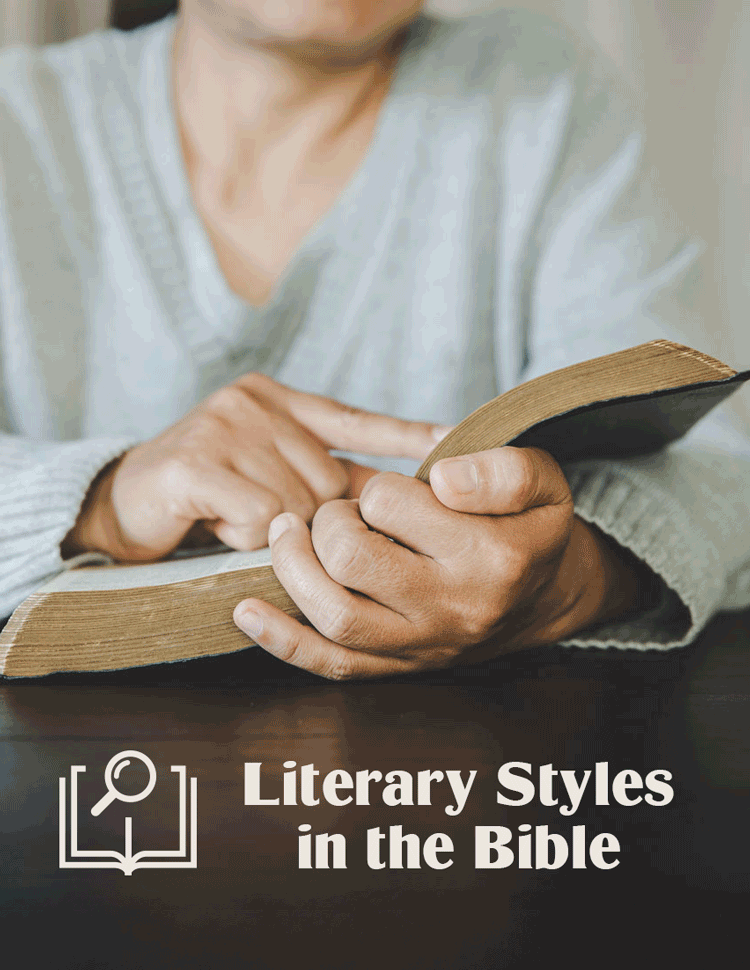 The Chara Project Podcast Series Literary Styles