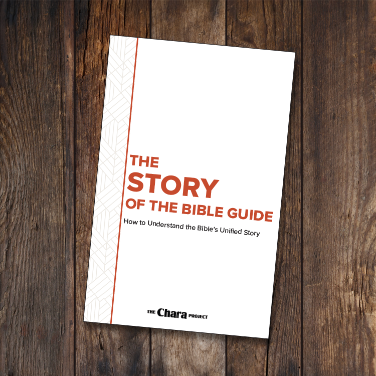 The Story of the Bible Guide Digital Download