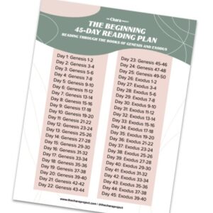 The Beginning Bible Reading Plan