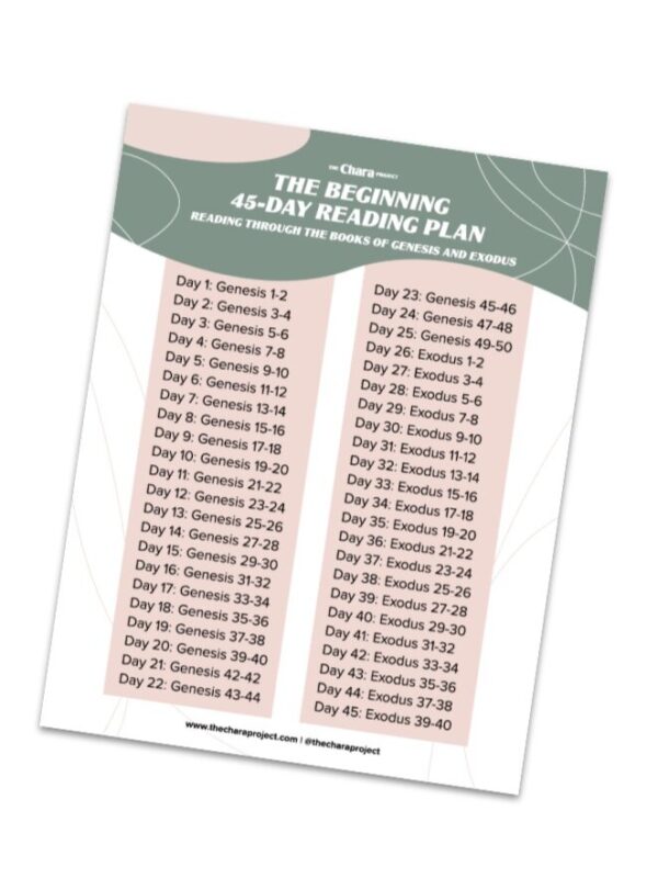 The Beginning Bible Reading Plan